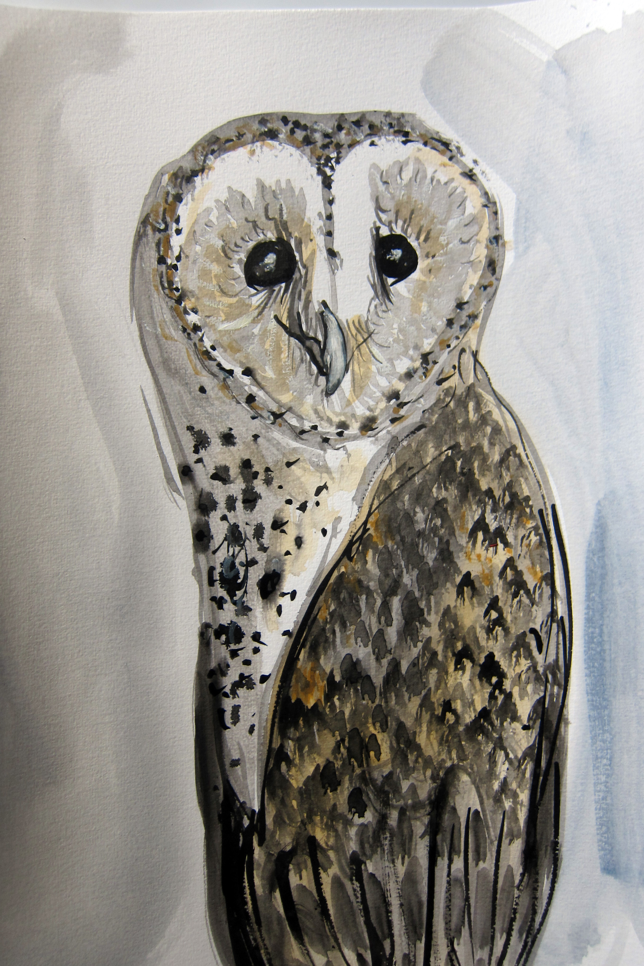 Barn Owl Ben RACHEL CARROLL